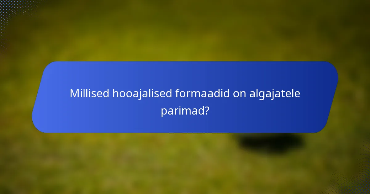 Millised hooajalised formaadid on algajatele parimad?