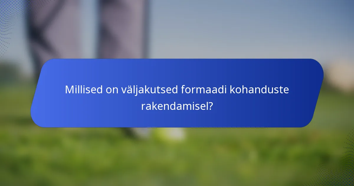 Millised on väljakutsed formaadi kohanduste rakendamisel?